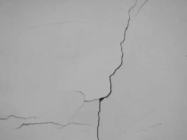 qual a melhor tinta para parede com umidade e mofo​