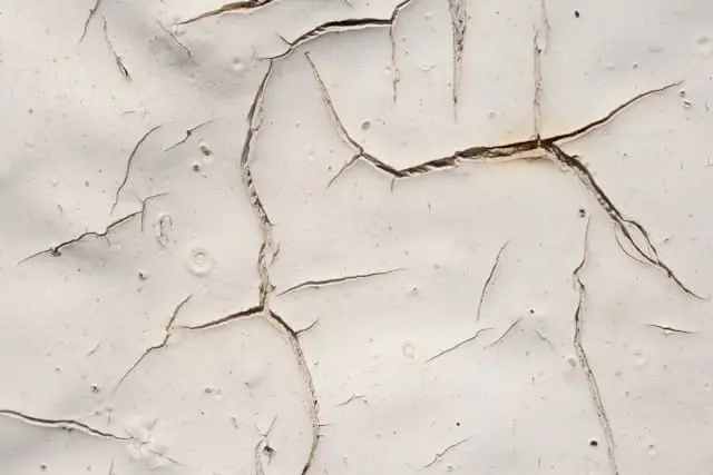 qual a melhor tinta para parede com umidade e mofo​