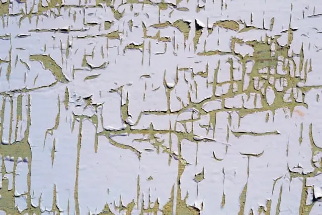 qual a melhor tinta para parede com umidade e mofo​