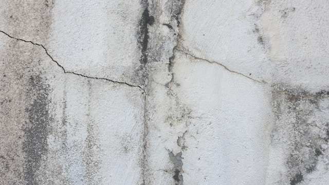 Como Evitar Mofo na Parede: 7 Dicas Infalíveis para Proteger Sua Casa da Umidade 3 como evitar mofo na parede